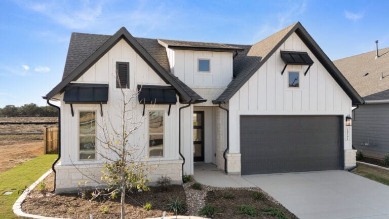 10141 Heinichen Ozona