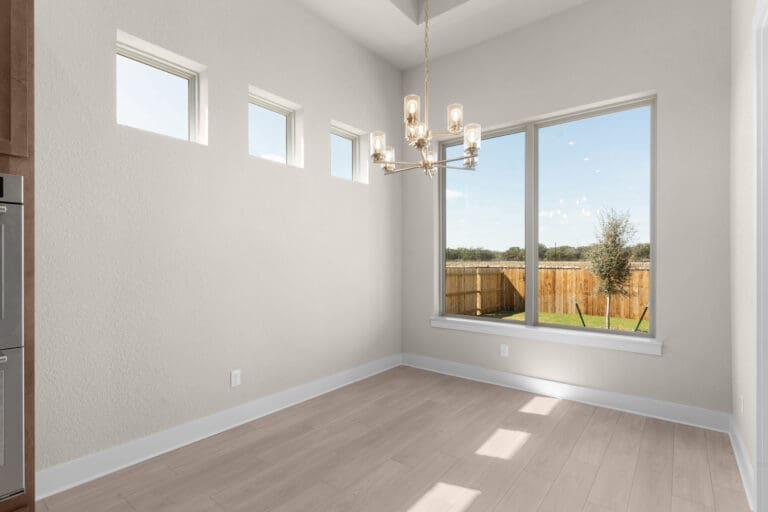 10141 Heinichen Ozona