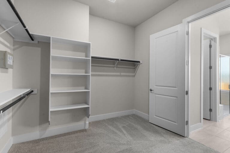 10149 Heinichen Lamesa